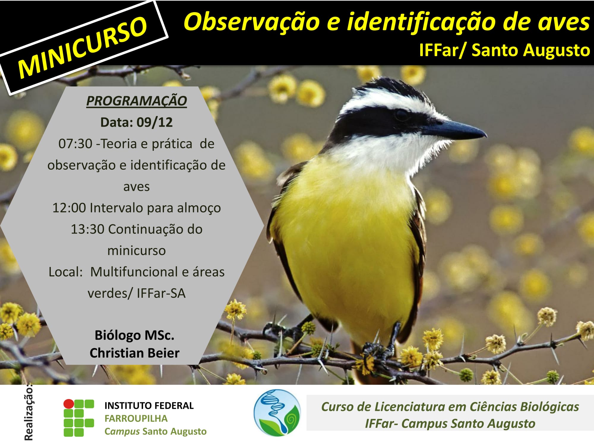 Cartaz Minicurso Aves 09 12 1