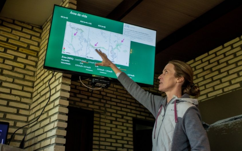 Sem nome 800 x 500 px 5