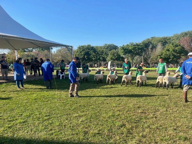 WhatsApp Image 2023 05 20 at 16.40.53