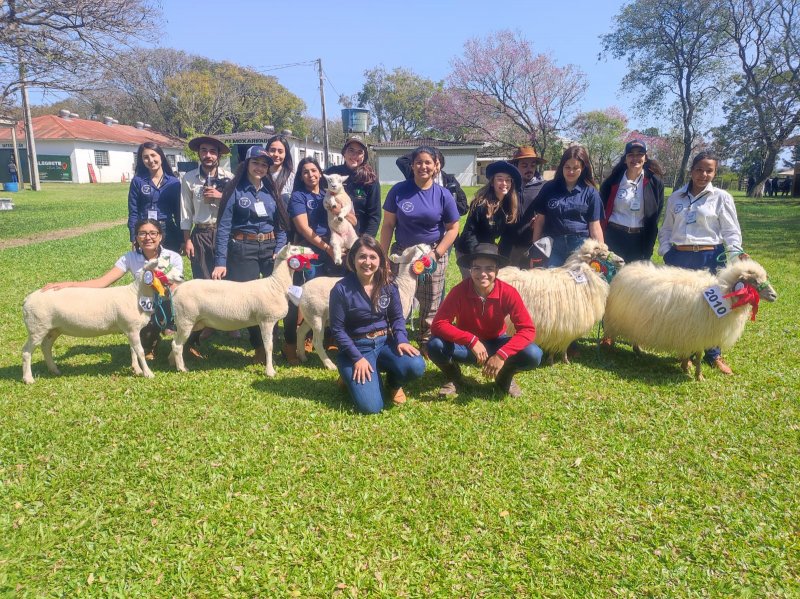 Sindicato Rural abre inscrições para 40ª Feira de Ovinos de Alegrete -  Sindicato Rural de Alegrete