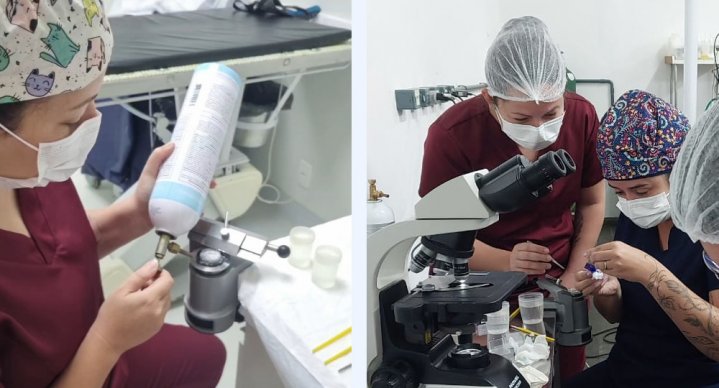 mulheresnaciência notícia09022024