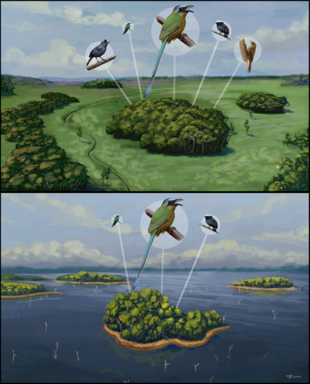 1 MAIN ILLUSTRATION contrasting landscapes Matheus Gadelha redim