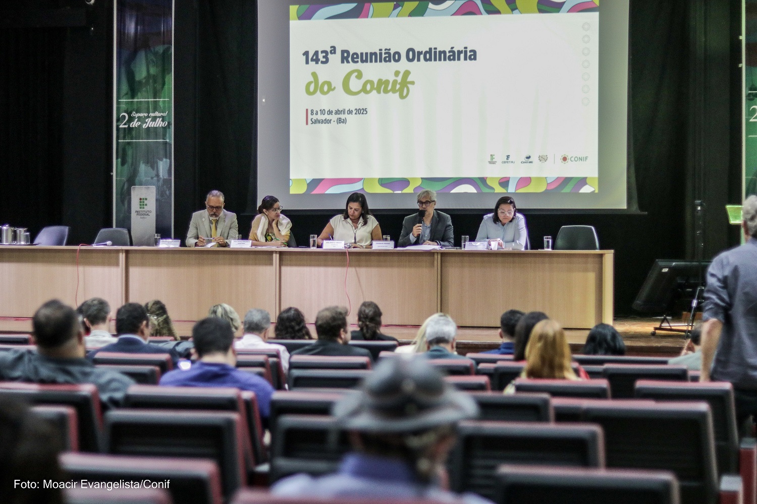 Conif Salvador Nidia 4