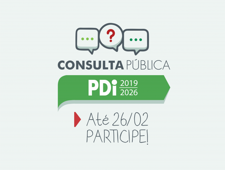 Consulta Pública PDI