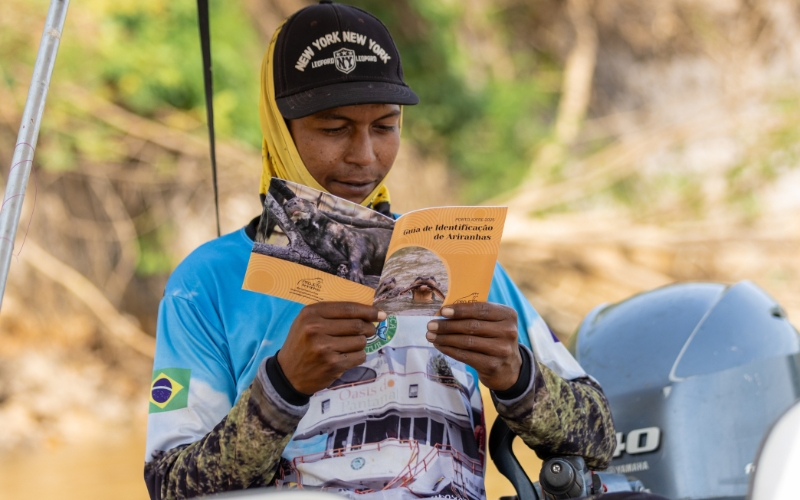 Sem nome 800 x 500 px 14