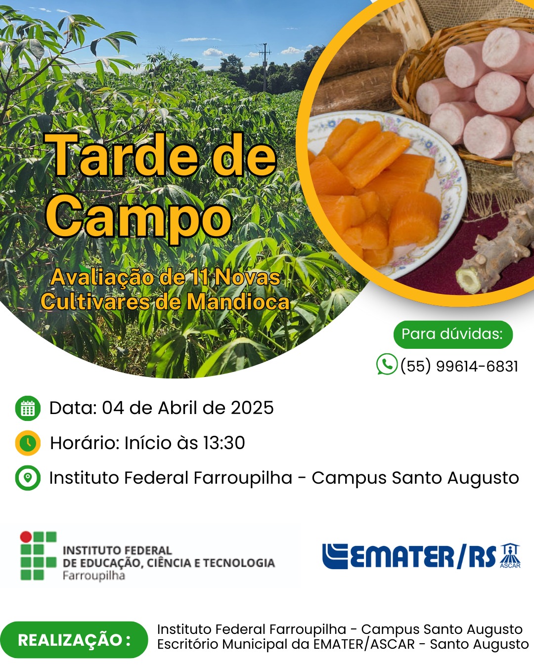 Tarde de Campo de mandioca