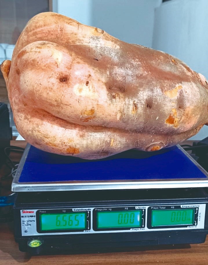 WhatsApp Image 2024 03 08 at 16.40.20