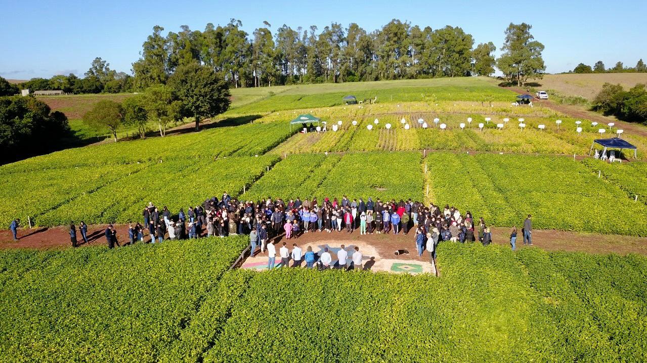 WhatsApp Image 2025-05-20 at 17.29.22 (1).jpeg