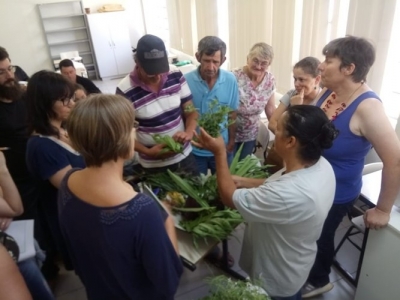 Campus promove o Seminário de Produção Orgânica, Uso e Processamento de Frutas Nativas