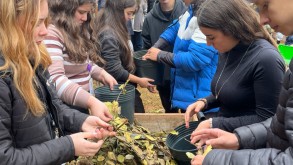Campus Santo Ângelo celebra tradição da erva-mate com a XII Carijada XIIcarijada notícia17062026d
